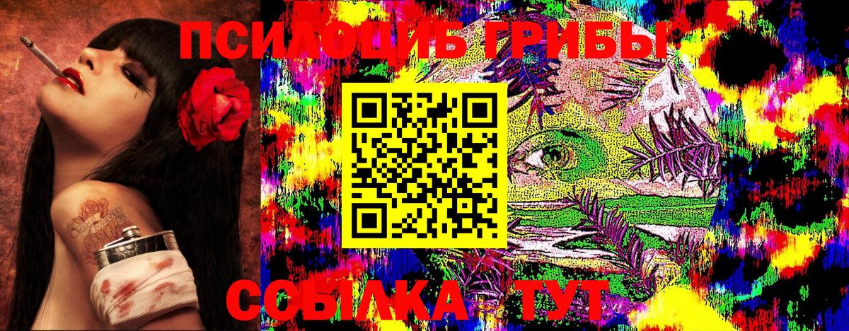 Галлюциногенные грибы мухоморы Киселёвск